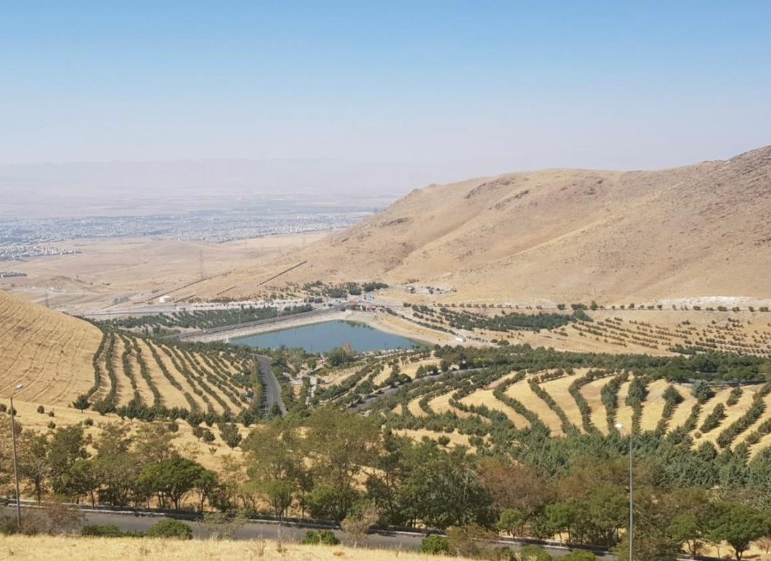 صورة مصغّرة